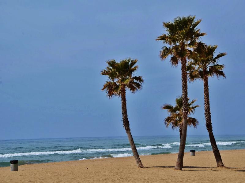 Camping Estival Vendrell Platja โกมาร์รูกา ภายนอก รูปภาพ