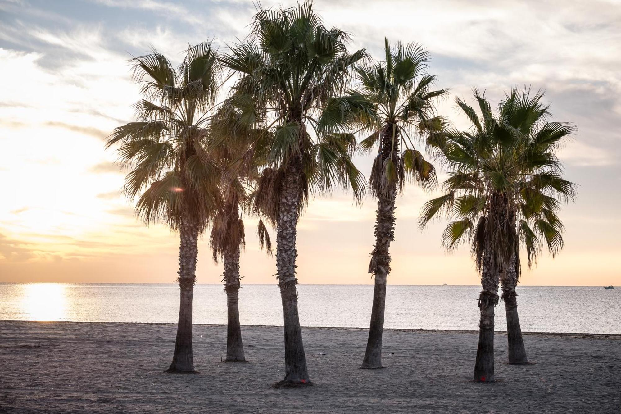 Camping Estival Vendrell Platja โกมาร์รูกา ภายนอก รูปภาพ